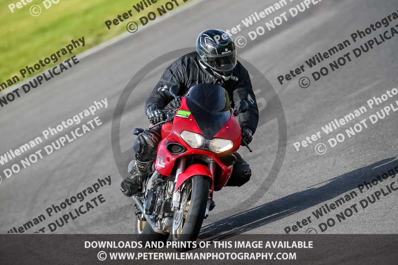 PJ Motorsport 2019;anglesey no limits trackday;anglesey photographs;anglesey trackday photographs;enduro digital images;event digital images;eventdigitalimages;no limits trackdays;peter wileman photography;racing digital images;trac mon;trackday digital images;trackday photos;ty croes